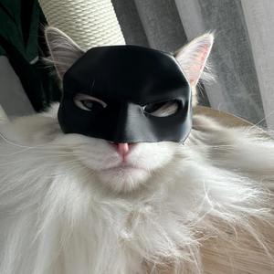 Venta al por mayor Cat Bat party maskes Super Hero Rises <span class=keywords><strong>Bruce</strong></span> <span class=keywords><strong>Wayne</strong></span> Cosplay casco PVC Flexible máscara sombreros regalo para su gato - Product Image 4
