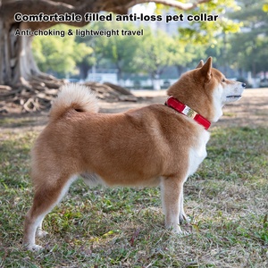 Etiqueta de identificación personalizada, <span class=keywords><strong>Collar</strong></span> de perro de nailon, <span class=keywords><strong>Collar</strong></span> duradero multicolor para mascotas con grabado láser, placa de nombre personalizada - Product Image 6