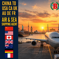 Transitaire international DHL, transport maritime et aérien de la Chine vers les États-Unis, le Canada, le Royaume-Uni, l'Australie, l'Allemagne, la France, agent maritime