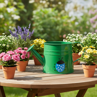 Arrosoir pour enfants Kimleyda 1L en acier galvanisé écologique, ensemble d'accessoires de jardinage