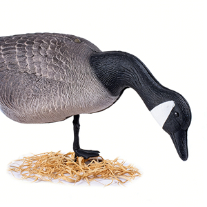 Figurine d'oie réaliste sur mesure, grandeur nature, résistante aux intempéries, pour la chasse en extérieur, avec pieds, vente en gros, leurre d'oie debout - Product Image 6