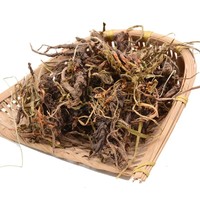 Weixiaoer Artemisia aromatisée séchée et cuite, épice et assaisonnement 500g, marinade pour barbecue, nouveau stock, vente en gros, dropshipping