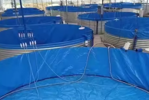 Tanque de agua corrugado prefabricado de acero galvanizado Capacidad de 100 <span class=keywords><strong>m3</strong></span> para silos de almacenamiento de riego agrícola Tipo de producto - Product Image 5