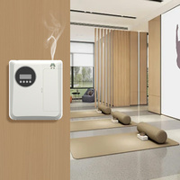 DANQ, venta superior, enchufe de pared eléctrico, difusor de Aroma de aceite, nebulizador de fragancia sin agua, máquina difusora de Aroma de aire