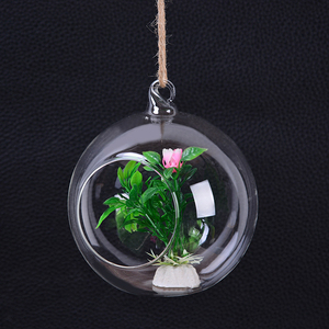 <span class=keywords><strong>Boule</strong></span> suspendue en <span class=keywords><strong>verre</strong></span> pour plantes aquatiques, mini sphère, aquarium avec support en fer, décoration - Product Image 6