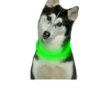 Mode LED collier de chien collier solide brillant nouveau collier de sécurité pour animaux de compagnie avec USB rechargeable Style simple en plastique