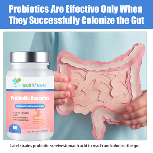 OEM ODM Factory Direct Probiotic Capsules with Probiotic Blend Supports Microbiome Diversity and Balance Capsules - Product Image 5