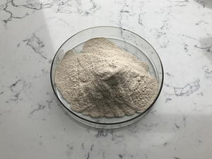 Sabor Natural de grado alimenticio, sabor, enzima sabrosa - Product Image 5