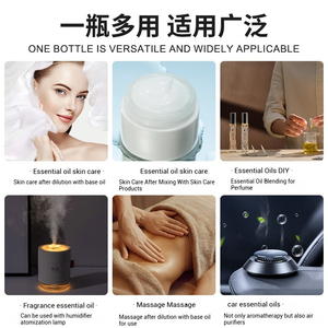 100% <span class=keywords><strong>difusor</strong></span> de masaje de aceite esencial de planta orgánica pura 10ml * 14 Uds conjunto de aceites esenciales de Aroma único de aromaterapia - Product Image 4