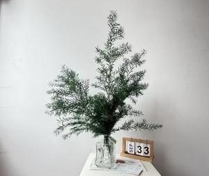 Vente chaude 2025 Junio Fleur de Melaleuca Bracteata naturelle préservée, écologique, longue durée, vente en gros en vrac, pour mariage et décoration intérieure, ÉTERNELLE - Product Image 5