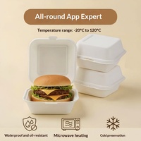 Boîte alimentaire jetable en bagasse, type clamshell, biodégradable, compostable, emballage alimentaire écologique, boîte à emporter pour le déjeuner