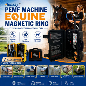 Appareil PEMF personnalisé pour améliorer la circulation sanguine, écran tactile, double canal, utilisation animale, machine de thérapie PEMF pour ferme équine - Product Image 2