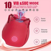 Vibrateur en forme de rose rechargeable par USB pour femmes avec 10 vitesses de vibration, étanche IPX6, en silicone et ABS, jouet sexuel lavable