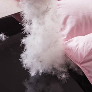 Venta caliente Hotel y hogar pato/edredón de plumón de ganso - Product Image 6