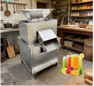 Máquina Automática para Producción de Jugo de Frutas, Extractor de Jugo de Frutas - Product Image 3
