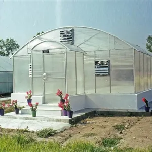 Serre de jardin en polycarbonate imperméable et facile à assembler pour fleurs et graines Serre italienne en polycarbonate