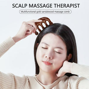 Kit kesehatan Cina Tradisional Sandal kualitas tinggi sisir rambut kayu sisir kulit kepala pijat tubuh kantong pemijat akupunktur sisir stimulasi - Product Image 4