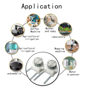 Huayida 고품질 좋은 가격 연동 펌프 제조 마이크로 연동 펌프 12 볼트 dc 모터 투여 연동 펌프 - Product Image 6