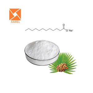 Health Supplement 25% Total Fatty Acid Powder Saw Palmetto Fruit Extract