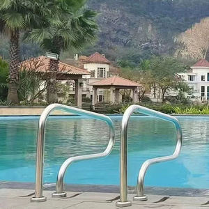 Échelle de <span class=keywords><strong>piscine</strong></span> <span class=keywords><strong>petite</strong></span> main courante couverture amovible mains courantes de <span class=keywords><strong>piscine</strong></span> - Product Image 5