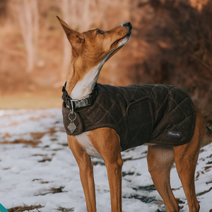Manteau de <span class=keywords><strong>chien</strong></span> en cire classique et moderne de luxe Vacances du Nouvel An chinois en polyester et coton - Product Image 5