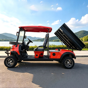Voiturette de golf électrique à 4 roues homologuée pour la route avec clignotants à vendre - Product Image 4