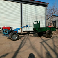 Nuevo Tractor Agrícola Diésel de 10hp de Gran Venta con Cosechadora de Cacahuetes, Arado de Discos y Arado de Flecha para Transporte