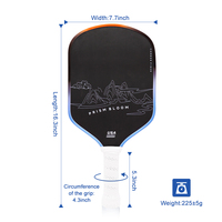 Raquettes de pickleball de conception de la géométrie, OEM et ODM de palette d'entraînement d'approbation d'USAPA disponibles