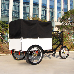 Bicicletta Elettrica a 3 Ruote per Consegne 48V 500W con Carico Posteriore e Box, Triciclo Cargo con Tettuccio, Prezzo di Fabbrica - Product Image 1