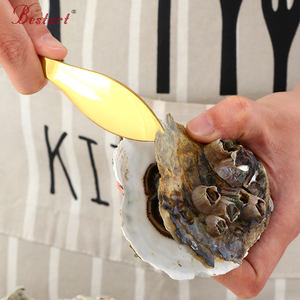 Accessori per la cucina in acciaio inox all'ingrosso strumenti per l'<span class=keywords><strong>apertura</strong></span> <span class=keywords><strong>ostriche</strong></span> e crostacei in metallo coltello per <span class=keywords><strong>ostriche</strong></span> - Product Image 2