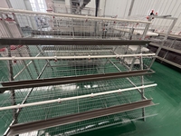 Système complet de cages automatiques pour poules pondeuses destiné aux fermes commerciales de production d'œufs - Cage en batterie pour poules pondeuses