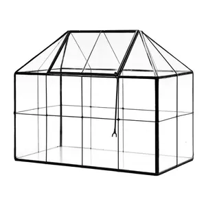Geometrik tasarım teraryum ev ve bahçe dekoratif cam ve leke az çelik teraryum düğün için