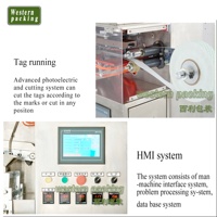 Machine d'emballage de sachets de thé à double chambre, prix de la machine d'emballage de sachets de thé, machine d'emballage de poudre de sachets de thé