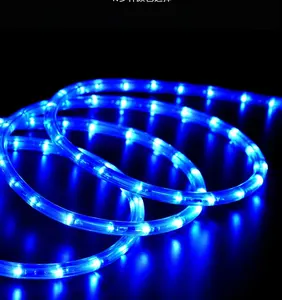 On Sale 1-Year Led Neon Corda Luz Para Construção Branco Quente 2 fios Led Rope Light RGB Led Rope Light Connector