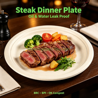 Assiette jetable en bagasse de 10 pouces, compostable, biodégradable, en canne à sucre, résistante à l'huile, sans PFAS, directement de l'usine