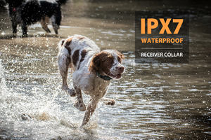 업그레이드 전문 개 훈련 칼라 IPX7 방수 전자 럭셔리 애완 동물 개 충격 칼라 1500 메터 원격 - Product Image 5