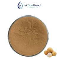 Fabrieksleverancier Longan Aril Extract 10:1 20:1 Dimocarpus Longan Pulp Extract Poeder Voedingsmiddelenkwaliteit Plantaardig Extract