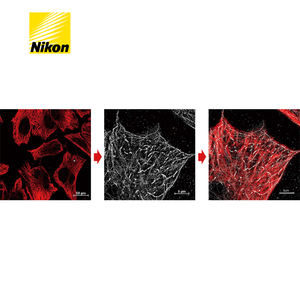 Le système de <span class=keywords><strong>microscope</strong></span> à super-résolution N-STORM offre une résolution dix fois supérieure aux microscopes optiques standard. - Product Image 6