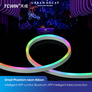 Btf chiếu sáng DC24V linh hoạt <span class=keywords><strong>LED</strong></span> Strip ánh sáng 108LED/M địa chỉ pixel ws2811 ngoài trời điều khiển từ xa IP67 cảnh quan PC 8 mét - Product Image 6