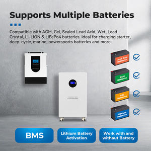 Convertisseur solaire hybride 12V <span class=keywords><strong>2</strong></span>,5KW à onde sinusoïdale pure avec écran LCD MPPT, sortie unique, pour usage domestique, OEM - Product Image 3