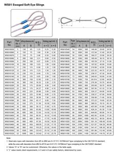 WS01亜鉛メッキ鋼線ロープエンドレススリングソフトアイ安全接続フェルール、リギング、一般吊り上げ、高強度用 - Product Image 2