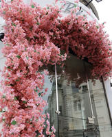Bunga Bougainvillea Asli Awet Tahan Lama untuk Pernikahan, Natal & Imlek