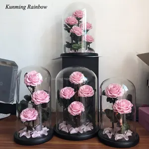 4 натуральные стабилизированные розы вечности с настоящим стеблом роз и лепестками в стеклянном куполе для украшения дома или свадьбы