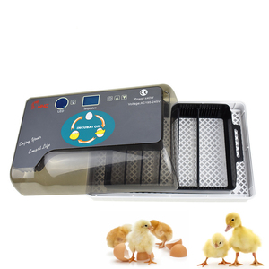 Incubateur intelligent 40W pour 12 œufs de canaris, cailles, oiseaux et reptiles - Product Image 1