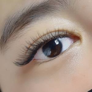 ขนตาแบน Smoky V แบบเกาหลีขนาด0.15มม. C Curl หนา2D ซาลอนเนื้อด้านคุณภาพการเก็บรักษานาน - Product Image 5