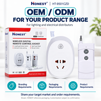Soket Kontrol Jarak Jauh Nirkabel RF 500m untuk Lampu Toko, Display, dan Lampu Hias OEM ODM HONEST HT-9501CZD