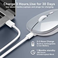 Ratón Inalámbrico de Fábrica, 2.4G Bluetooth, Recargable, Silencioso, Compacto, Óptico, 1000/1600 DPI, Receptor USB para Portátil