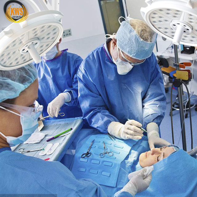 LED Dual Heads Ceiling Type Plastic Surgery Veterinary Medical Ceiling Shadowless Operation Light