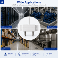 Sensor de Fugas de Agua con Cable RZ-01, Detector de Inundaciones con Sondas Dobles de Alta Sensibilidad para Sistemas de Seguridad en Sótanos y Hogares