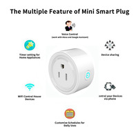 Venta Directa de Fábrica OEM ODM FY11 Enchufe Inteligente Wi-Fi con Firmware Tasmota Preinstalado Compatible con Google Home y Alexa para el Hogar